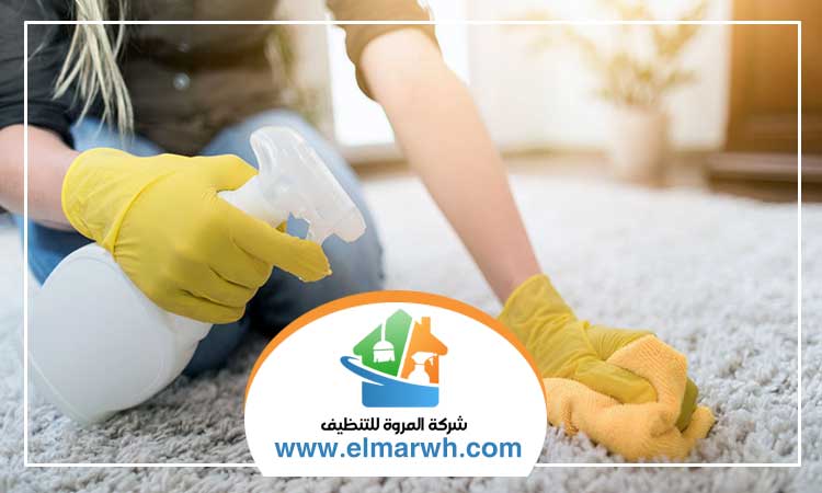 أرخص شركة تنظيف في الشارقة