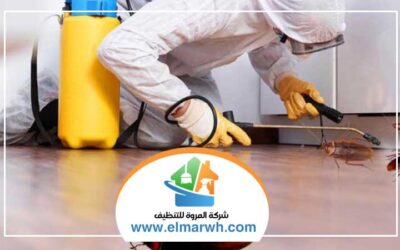 شركة مكافحة الصراصير في الشارقة