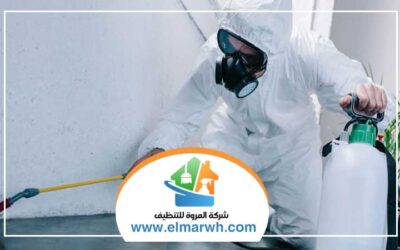 شركة مكافحة حشرات الورقاء