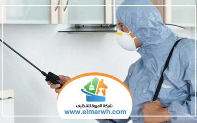 شركة مكافحة حشرات في العين