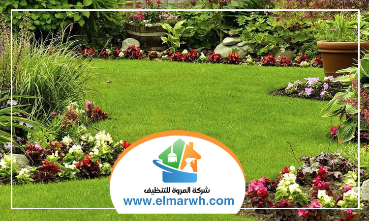 تركيب عشب في الفجيرة