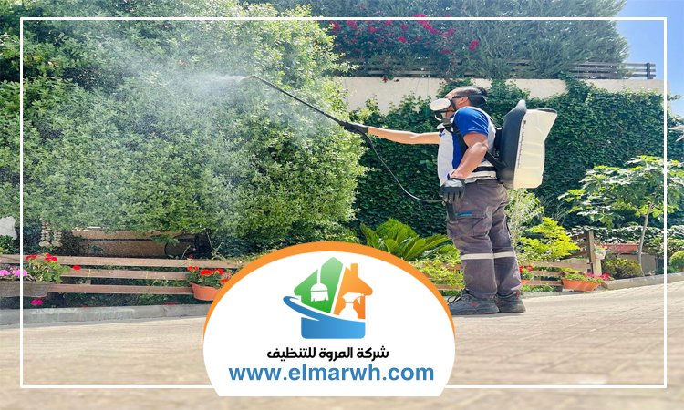 شركة مكافحة حشرات في أم سقيم