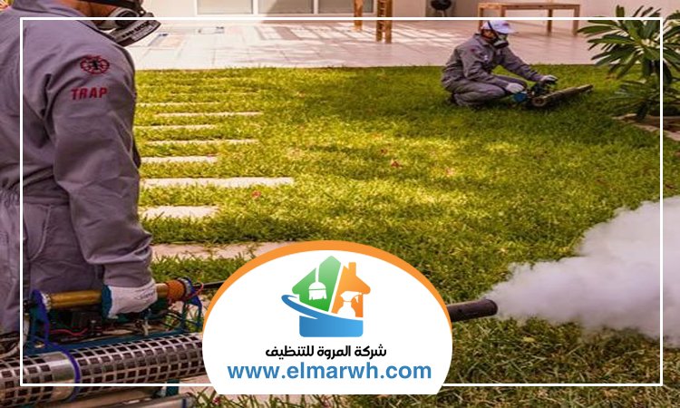 شركة مكافحة حشرات في أم سقيم