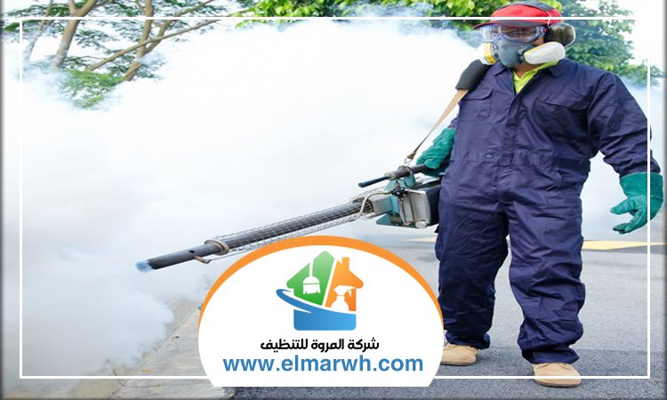 شركة مكافحة حشرات