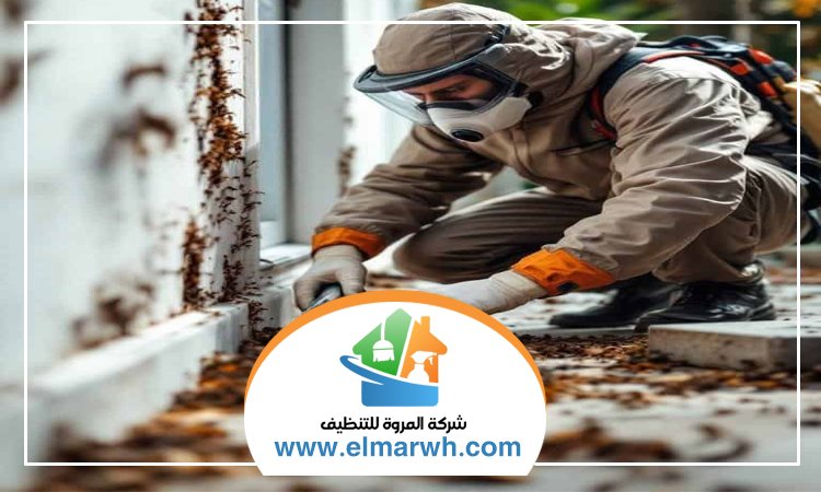 شركة مكافحة حشرات في الروضة