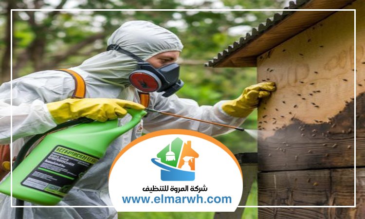 شركة مكافحة حشرات في السهول