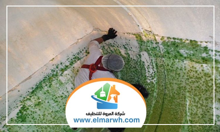 شركة تنظيف خزانات في العين