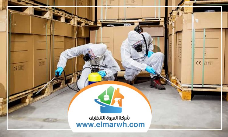 مكافحة حشرات في راس الخيمة