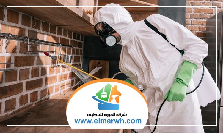 شركة مكافحة حشرات