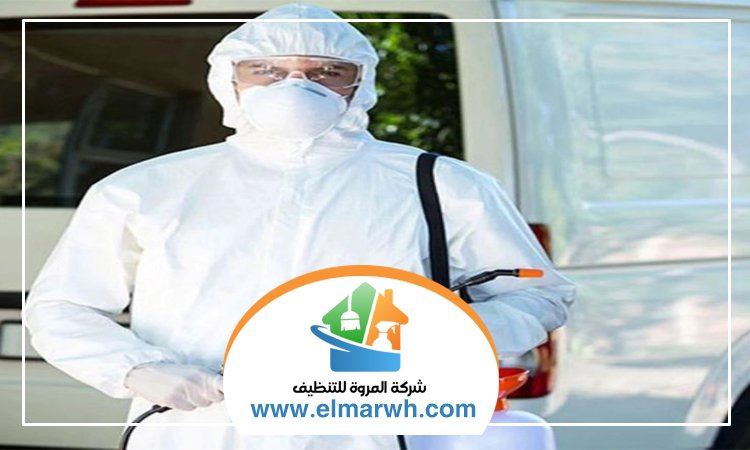 مكافحة حشرات في راس الخيمة
