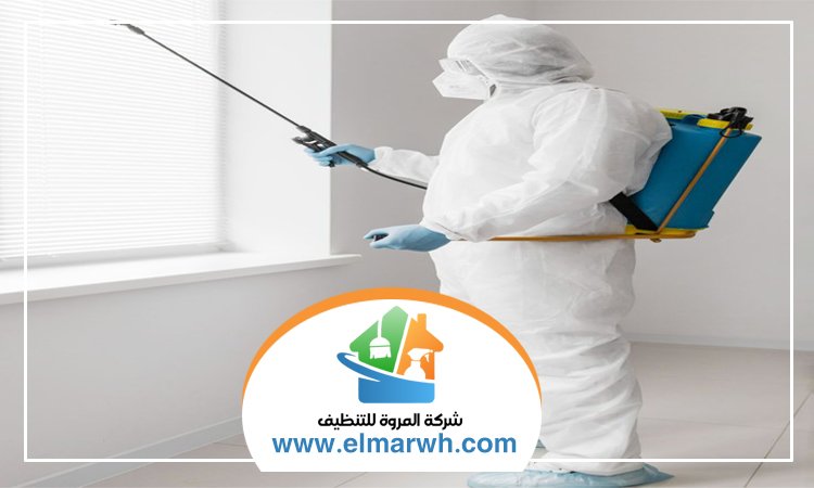 شركة مكافحة حشرات في الضاحية