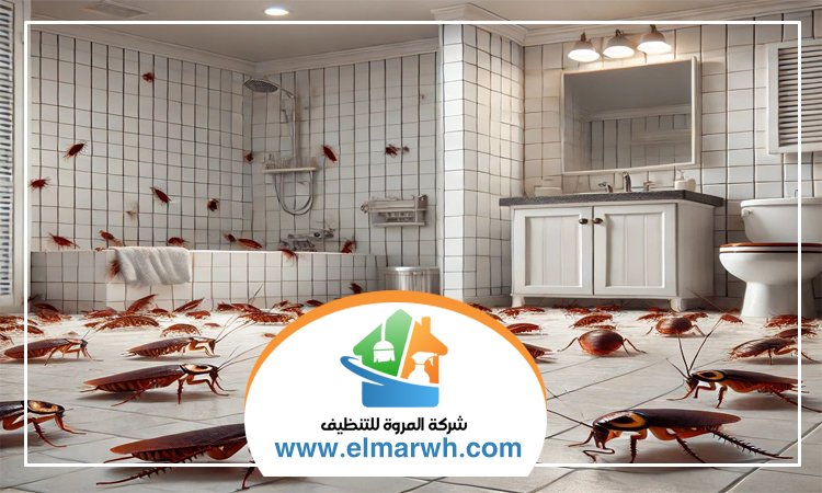 شركة مكافحة الصراصير في الفجيرة