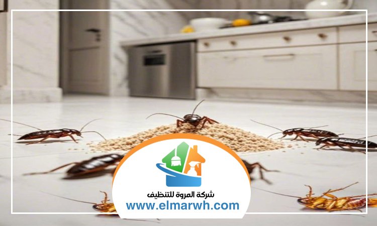 شركة مكافحة الصراصير