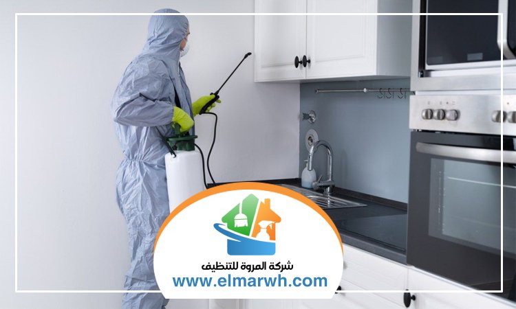 شركة مكافحة حشرات في الضاحية