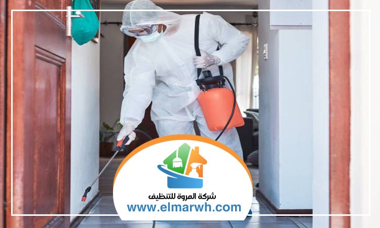 شركة مكافحة حشرات
