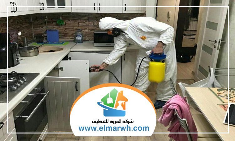 شركة مكافحة حشرات في البرشاء