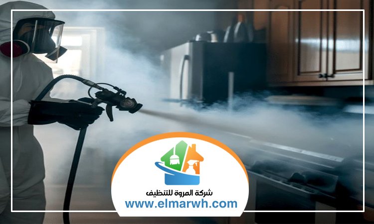 شركة مكافحة حشرات في إعمار