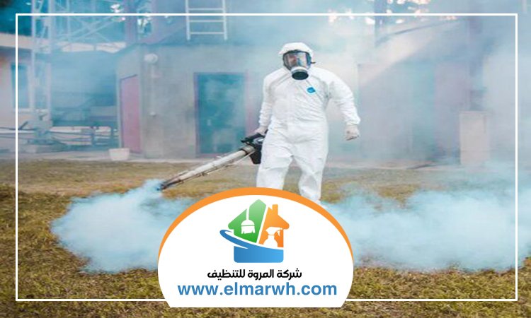 شركة مكافحة حشرات في الضاحية