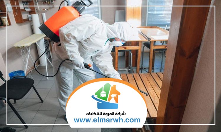 شركة مكافحة حشرات في البرشاء