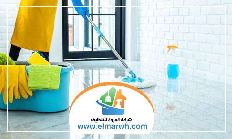 شركة تنظيف في ثيب