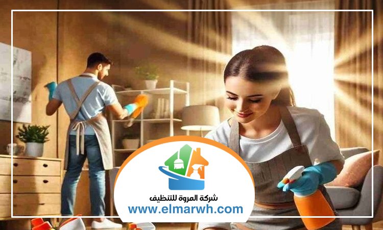 شركة تنظيف في صفد