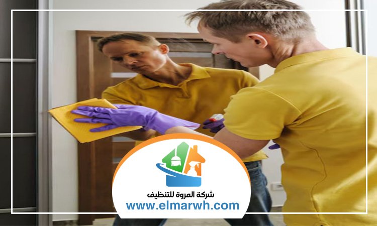 شركة تنظيف قصور