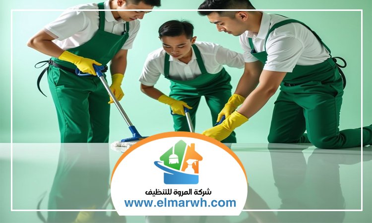 شركة تنظيف قصور في عجمان
