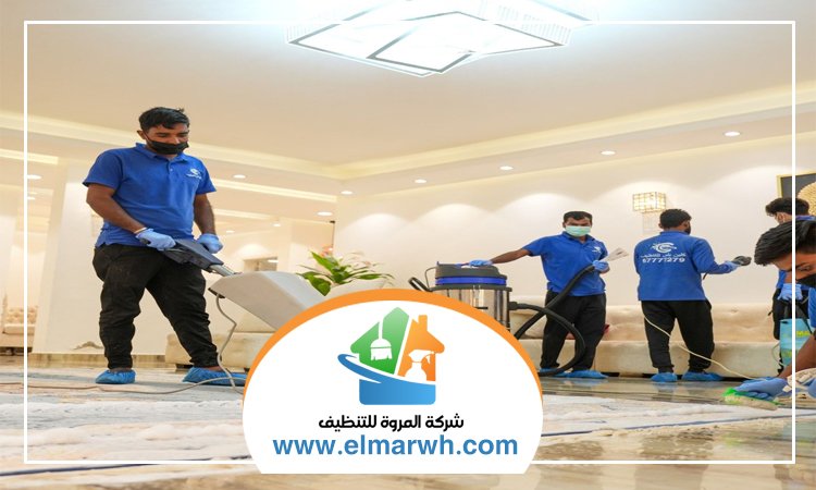 شركة تنظيف قصور