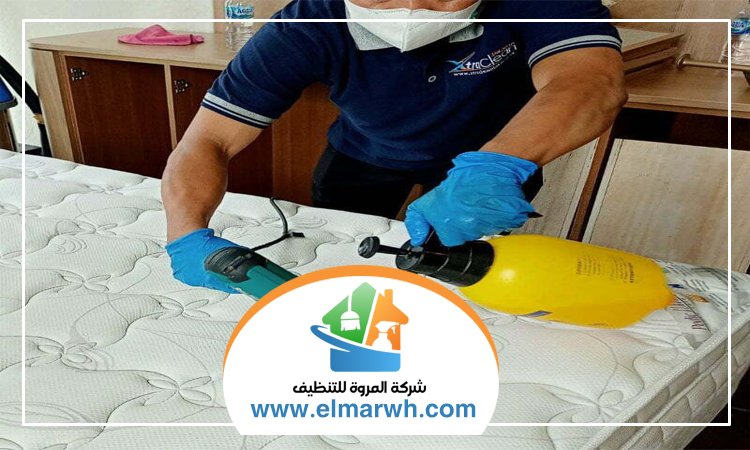 شركة تنظيف مراتب في الفجيرة