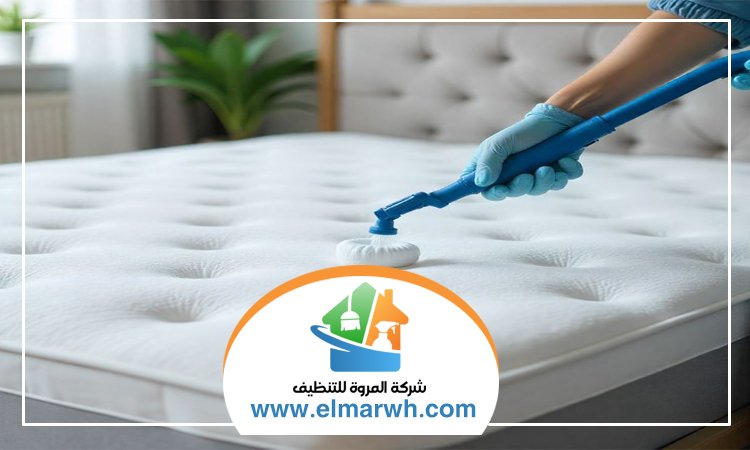 شركة تنظيف مراتب في الشارقة