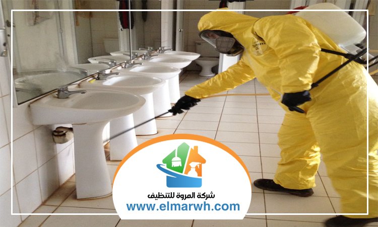 شركة تنظيف مدارس في العين