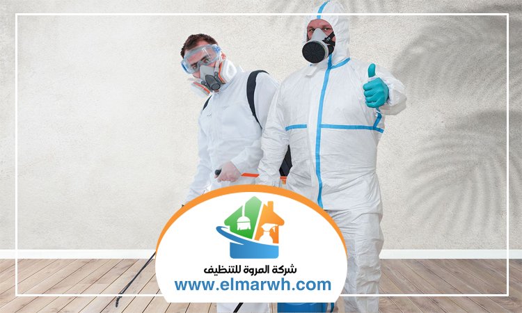 شركة مكافحة حشرات في الصفوح