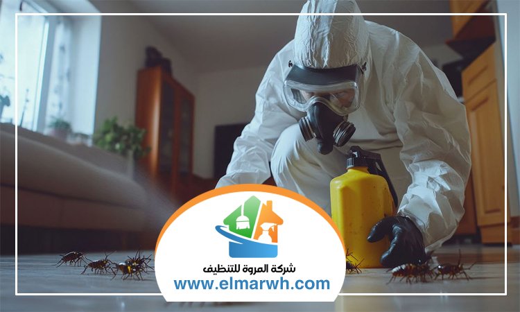 شركة مكافحة حشرات في الخوانيج