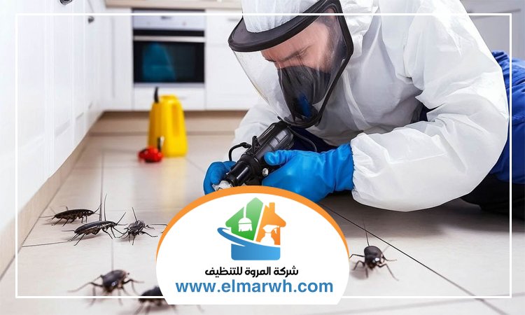 شركة مكافحة حشرات في الصفوح