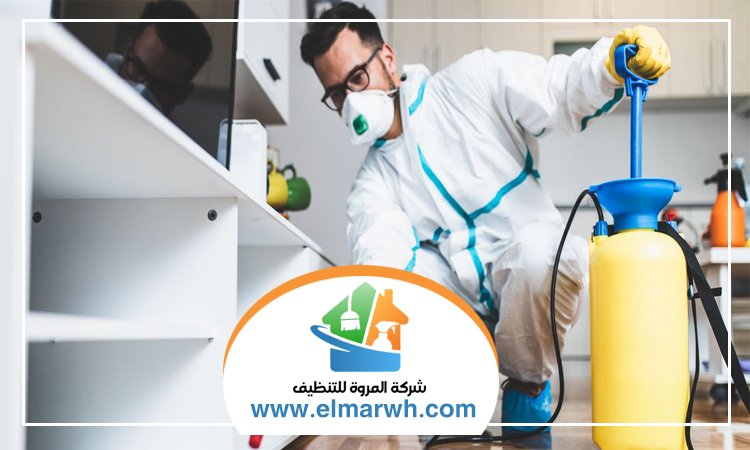 شركة مكافحة حشرات في الصفوح
