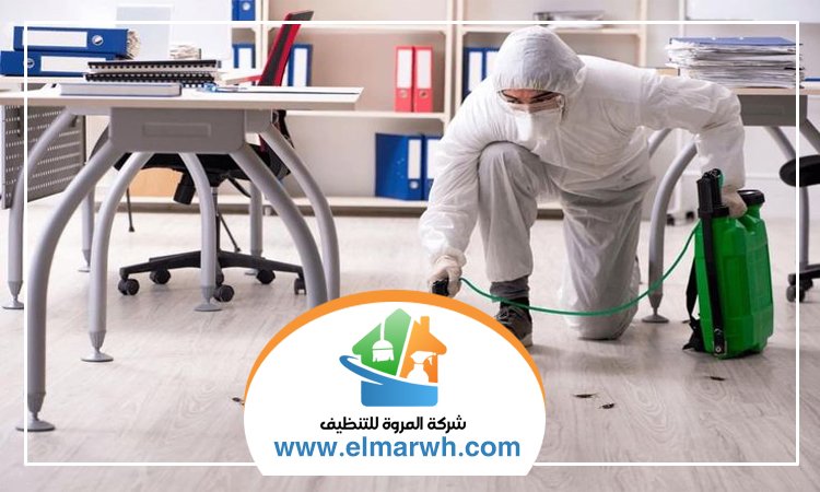 شركة مكافحة حشرات في دبي