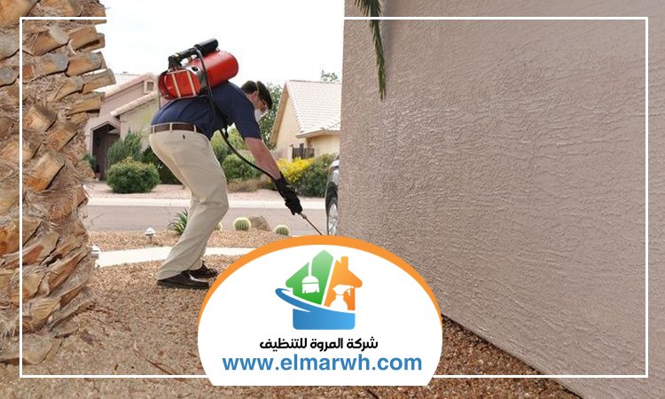 شركة مكافحة حشرات