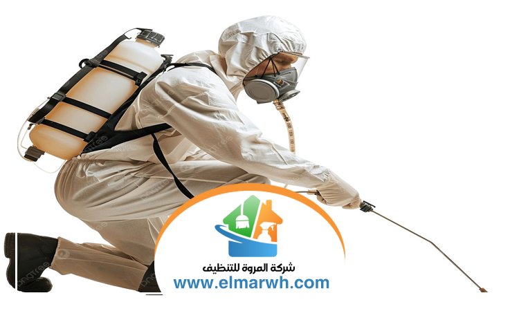 شركة مكافحة حشرات في الجافلية