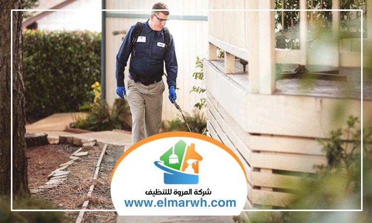 شركة مكافحة حشرات في الجافلية