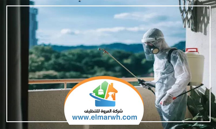 شركة مكافحة حشرات