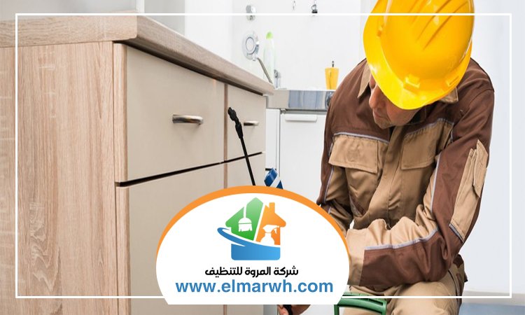 شركة مكافحة حشرات في البراري