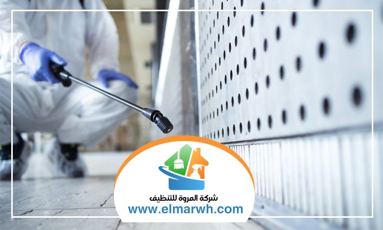 شركة مكافحة حشرات في البراري