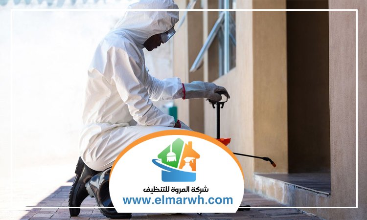 شركة مكافحة حشرات في البراري