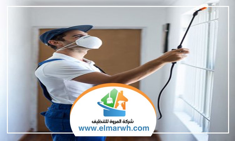 شركة مكافحة حشرات