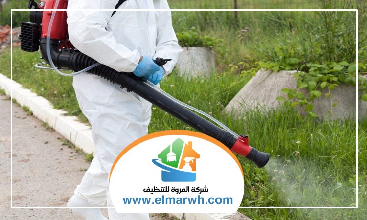 شركة مكافحة حشرات في البحيرات