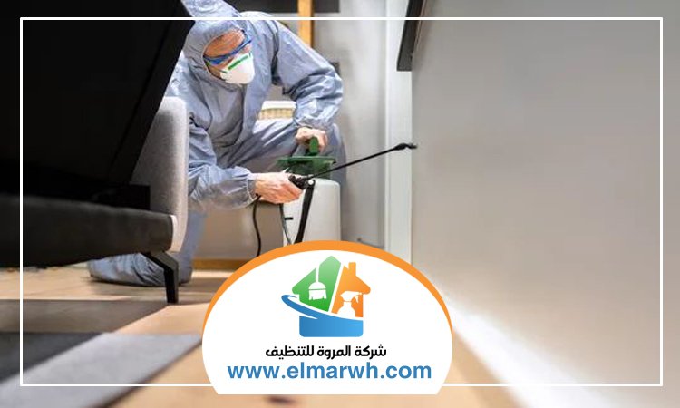 شركة مكافحة حشرات في البدع