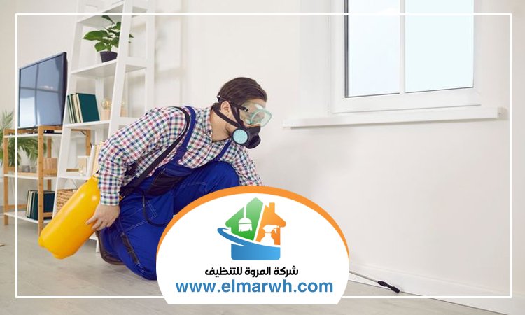 شركة مكافحة حشرات في البدع