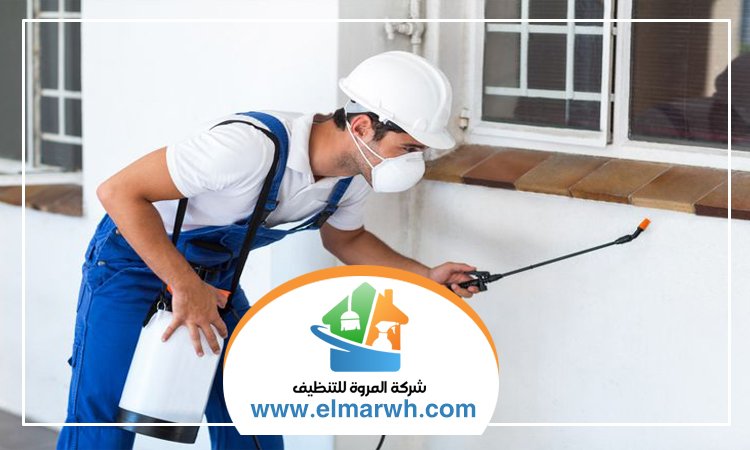 شركة مكافحة حشرات في البحيرات