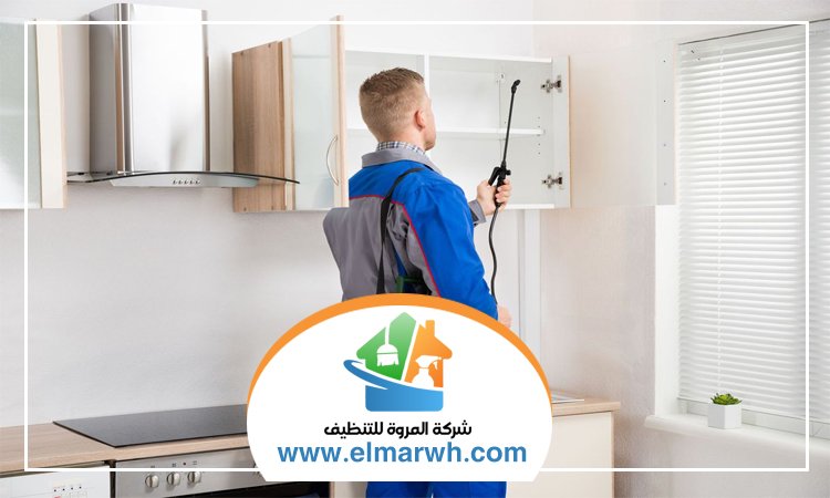 شركة مكافحة حشرات في البحيرات