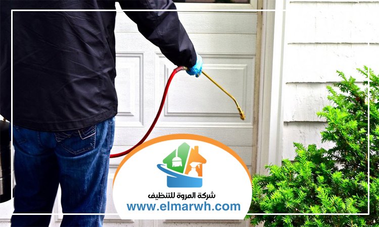 شركة مكافحة حشرات في أم هرير
